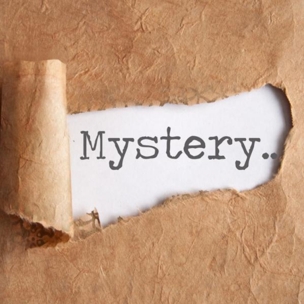 😼Mystery box - assorted Books -